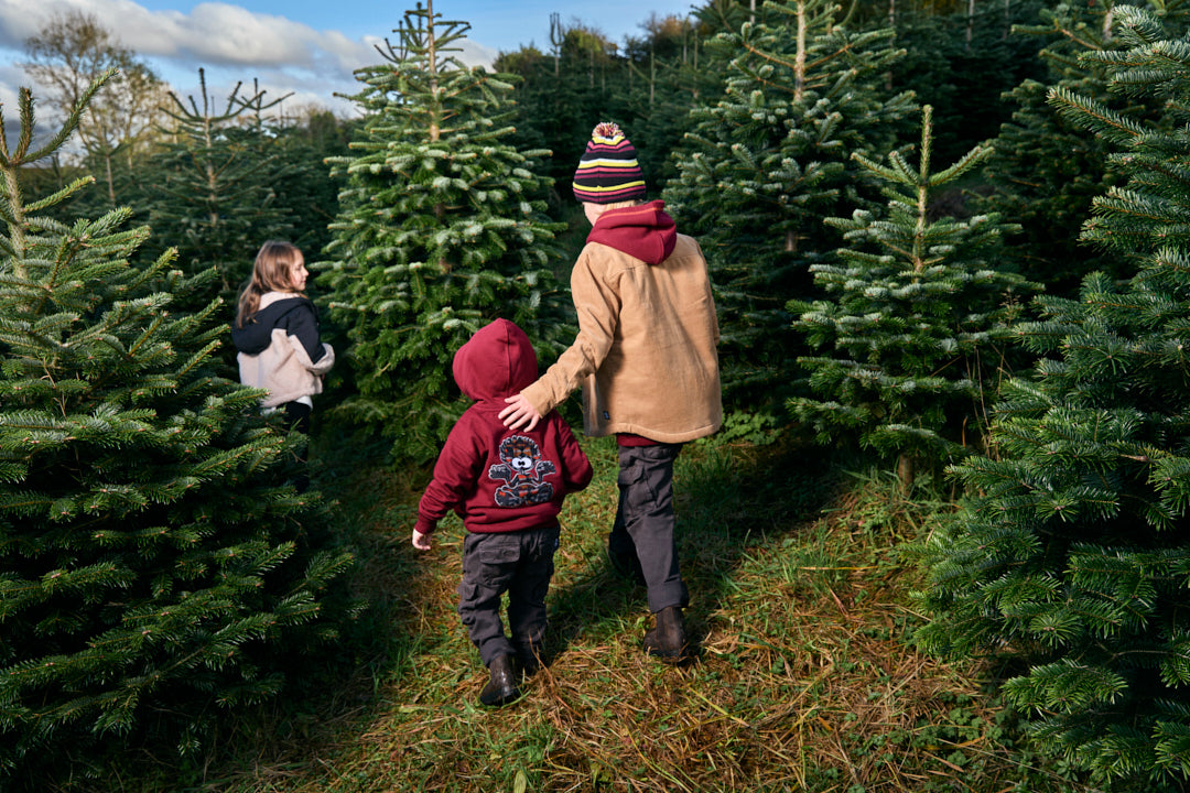 10 Traditional Christmas Activities to Enjoy with the Family