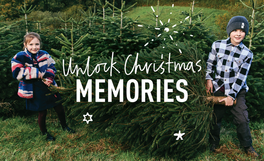 Let The Magic in: Create Unforgettable Memories This Christmas