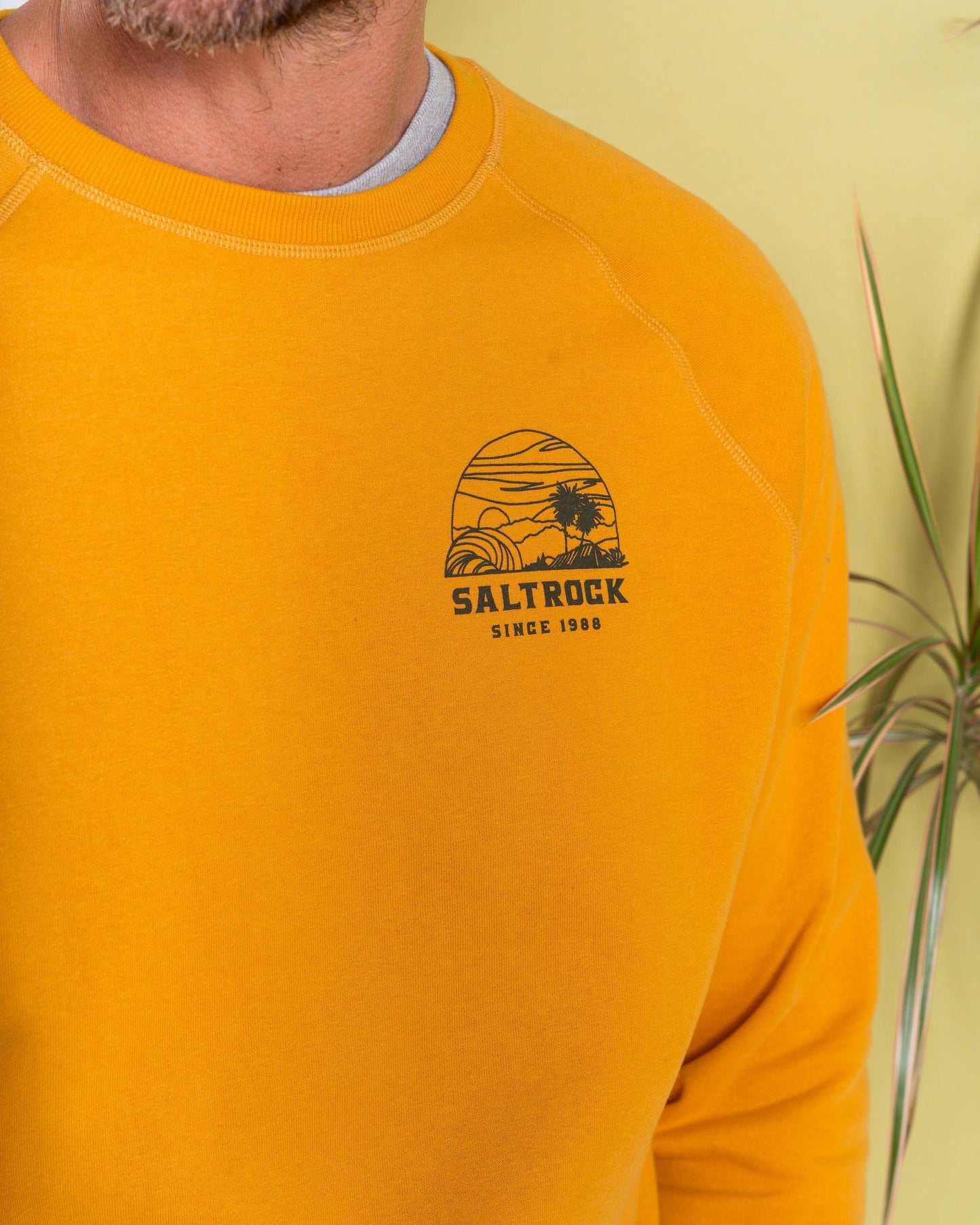 Atlantic Adventure - Mens Raglan Sweat - Yellow