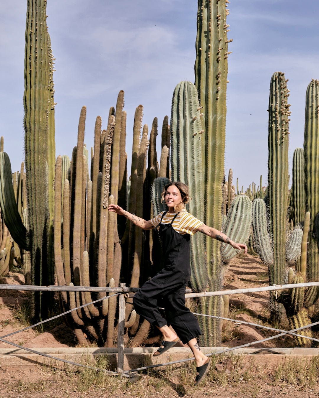 A person in a striped shirt and Saltrock Nancy - Womens Dungarees - Dark Grey with adjustable tie straps poses cheerfully amidst tall cacti, balancing on a wooden fence in a desert-like environment.