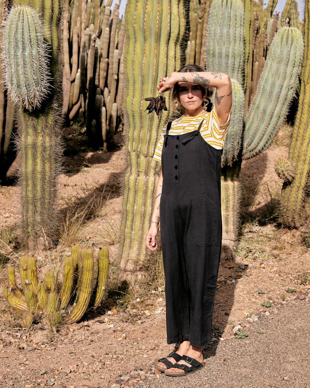 A person in a Nancy - Womens Jumpsuit - Dark Grey from Saltrock with adjustable tie straps and a yellow striped shirt stands among tall cacti, shielding their eyes from the sun with one hand.
