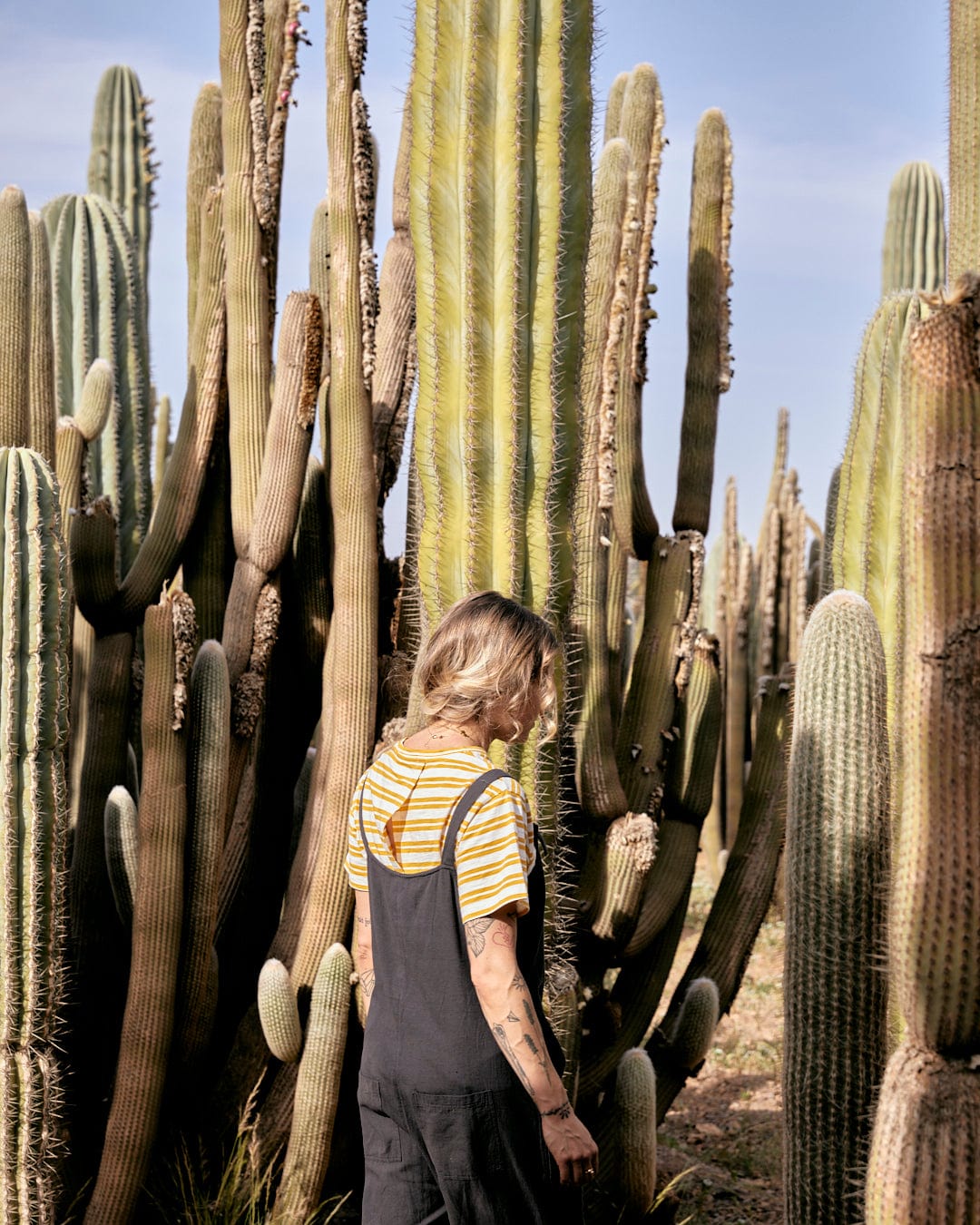 A person with tattoos, wearing a striped shirt and Saltrock's Nancy - Womens Dungarees - Dark Grey with adjustable tie straps, stands among tall cactus plants under a clear sky.