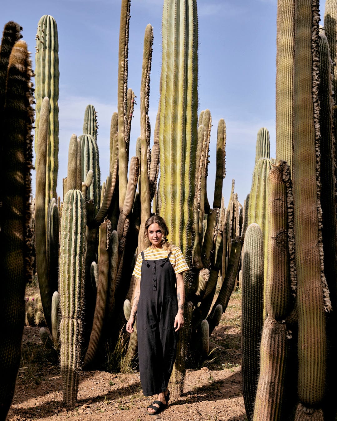 Person wearing a yellow striped shirt and Saltrock's Nancy - Womens Dungarees - Dark Grey stands amidst tall cacti in a desert landscape.