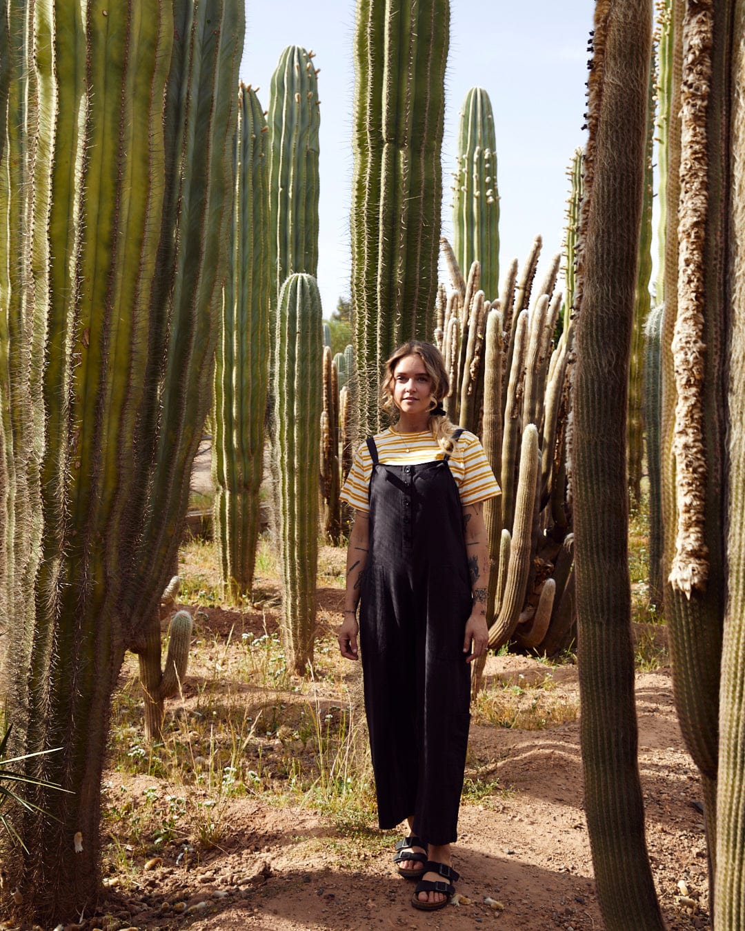 A person stands in front of tall cacti in an outdoor setting, wearing a Nancy - Womens Jumpsuit - Dark Grey by Saltrock and sandals. The relaxed fit complements the casual vibe perfectly.