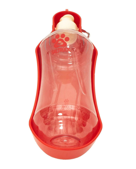 Paw Print - Pet Water Bottle - Saltrock